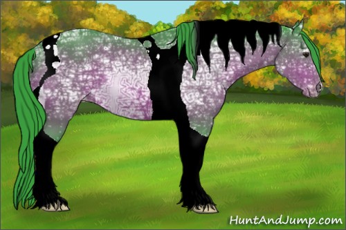 Horse Color:Watercolor Brown Ice Tobiano Appaloosa 