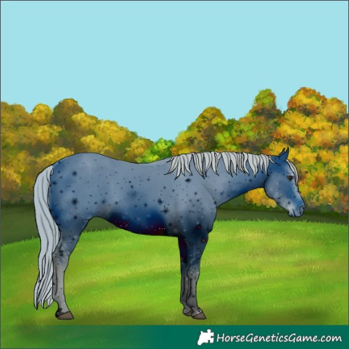 Horse Color:ERROR: UNKNOWN ANOMALY