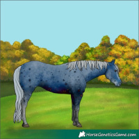 Horse Color:ERROR: UNKNOWN ANOMALY