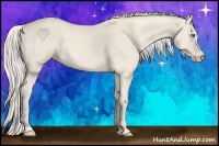 Horse Color:Cremello 