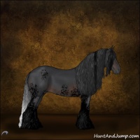 Horse Color:Void White Spotted Brown Tobiano 