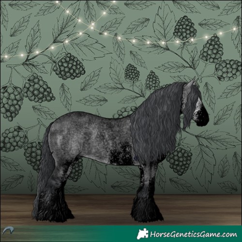 Horse Color:Void White Spotted Brown Chinchilla Roan Dun