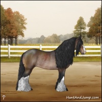 Horse Color:Brown Mushroom Rabicano 