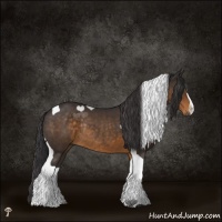 Horse Color:Buckskin Mushroom Tobiano Rabicano 