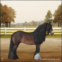 Horse Color:Brown Mushroom Rabicano 