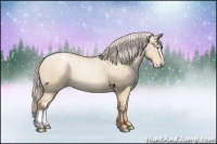 Horse Color:Silver Buckskin Pearl Dun Rabicano