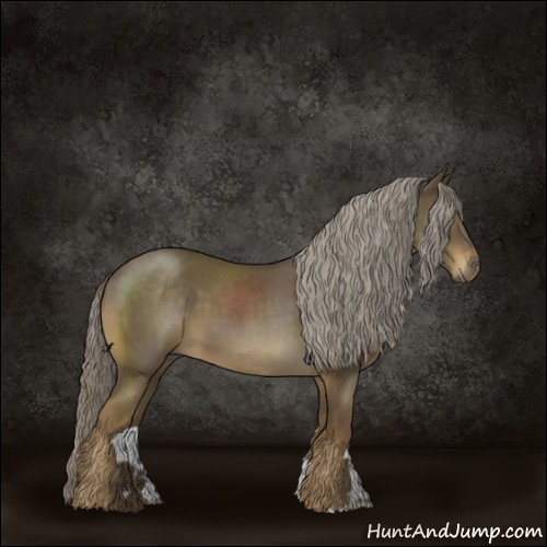 Horse Color:Chocolate Palomino Roan 
