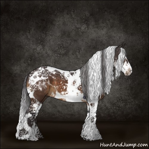 Horse Color:Buckskin Splash Tobiano 