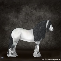 Horse Color:Brown Chinchilla Roan Onyx Tobiano 