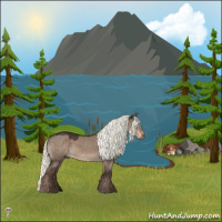 Horse Color:Liver Red Dun Mushroom Rabicano