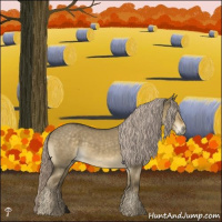 Horse Color:Chocolate Palomino Dun Mushroom Rabicano 