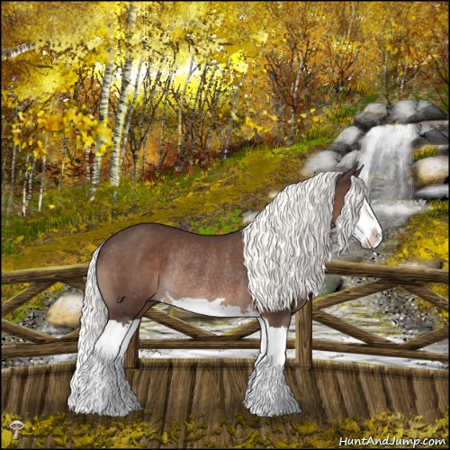 Horse Color:Liver Chestnut Mushroom Splash Rabicano 