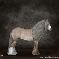 Horse Color:Liver Red Dun Mushroom Rabicano 