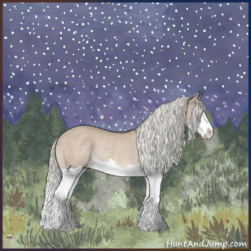 Horse Color:Liver Red Dun Mushroom Splash Rabicano 