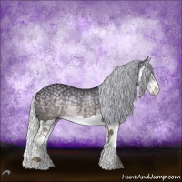 Horse Color:Silver Smoky Black Chinchilla Splash Rabicano 