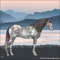 Horse Color:Nacre White Spotted Sable Champagne Chinchilla Ice Roan Onyx 