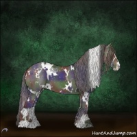 Horse Color:Nacre White Spotted Smoky Black Chinchilla Sabino 