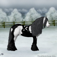 Horse Color:Brown Chinchilla Dun Tobiano 