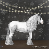 Horse Color:Grullo Chinchilla Sabino Splash Tobiano Rabicano Brindle 