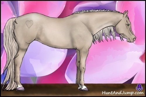 Horse Color:Chocolate Palomino Pearl 