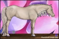 Horse Color:Chocolate Palomino Pearl