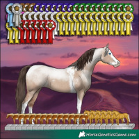 Horse Color:Classic Champagne Dun Sabino Splash Tobiano Rabicano 