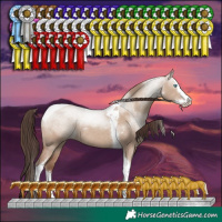 Horse Color:Classic Champagne Dun Sabino Splash Tobiano Rabicano 