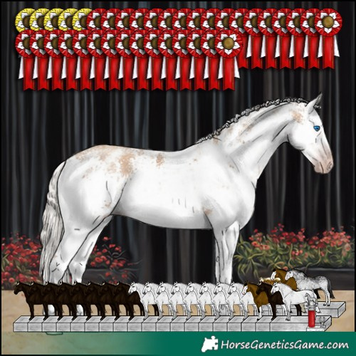 Horse Color:Gray White Spotted Silver Classic Champagne Sabino Splash Rabicano 