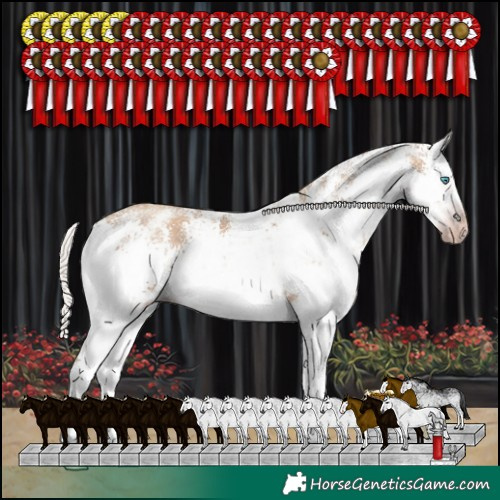 Horse Color:Gray White Spotted Silver Classic Champagne Sabino Splash Rabicano 