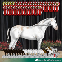 Horse Color:Gray White Spotted Silver Classic Champagne Sabino Splash Rabicano 