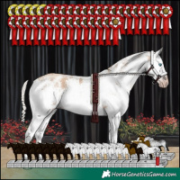 Horse Color:Gray White Spotted Silver Classic Champagne Sabino Splash Rabicano 