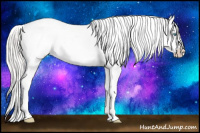 Horse Color:White Spotted Silver Classic Champagne Dun Splash Appaloosa Rabicano 