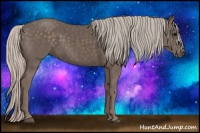Horse Color:Silver Black 