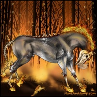 Horse Color:White Spotted Blue Onyx