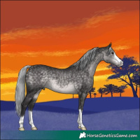 Horse Color:Platinum Silver Buckskin 