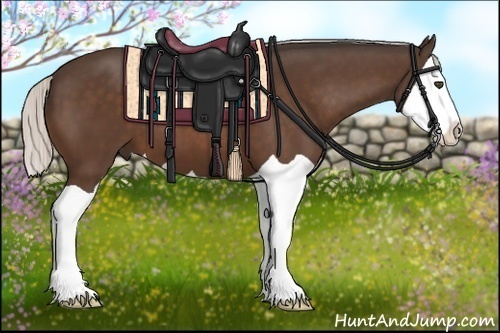 Horse Color:Silver Bay Splash 