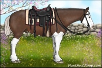 Horse Color:Silver Bay Splash 