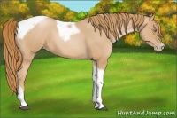 Horse Color:Red Roan Pearl Tobiano Frame 