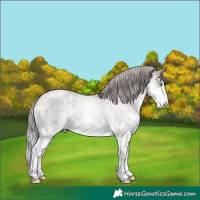 Horse Color:Silver Grullo Roan Mushroom Splash Frame
