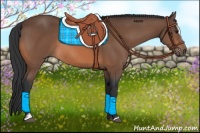 Horse Color:Bay Sabino Rabicano