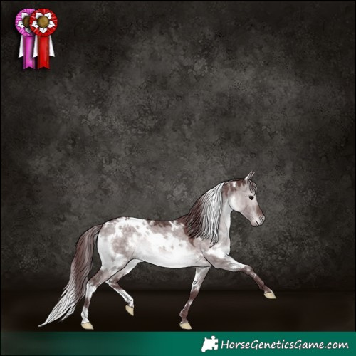 Horse Color:Platinum White Spotted Chocolate Brown Dun 