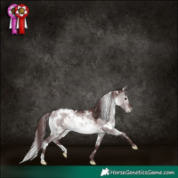Horse Color:Platinum White Spotted Chocolate Brown Dun 