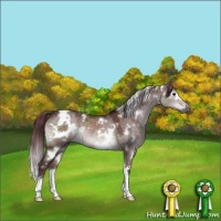 Horse Color:Platinum White Spotted Chocolate Brown Dun 