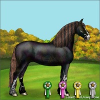 Horse Color:Painted Midnight Blue Onyx Ice Sabino