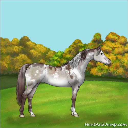Horse Color:Platinum White Spotted Chocolate Brown Dun 