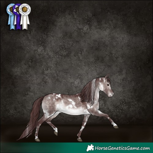 Horse Color:Platinum White Spotted Chocolate Brown Dun 
