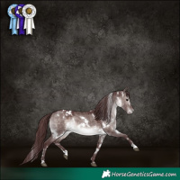 Horse Color:Platinum White Spotted Chocolate Brown Dun 