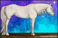 Horse Color:Smoky Creme