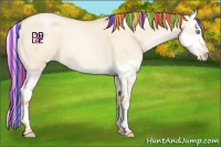 Horse Color:Painted Classic Champagne Pearl Dun Splash Appaloosa 