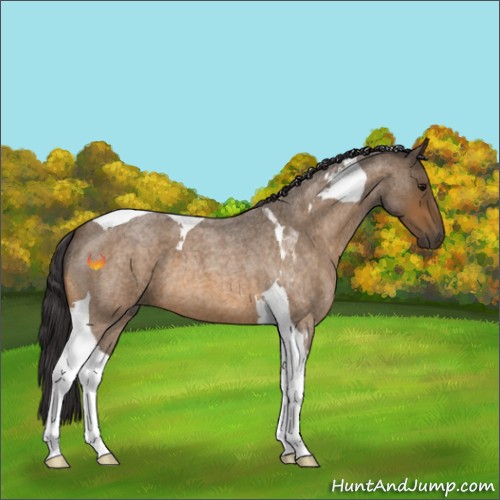 Horse Color:Buckskin Roan Tobiano 